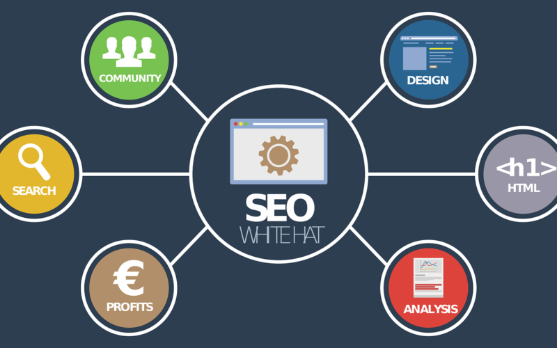 Search Engine Optimization